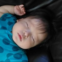 欲深き私