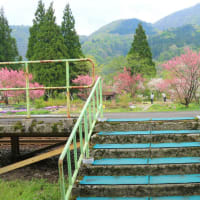 花桃の里