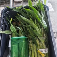久しぶりのカブちゃんツーリング！食いもん屋 北甲斐道編