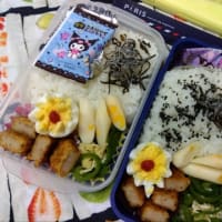 今日のお弁当
