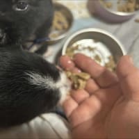 青い鳥名前が付きました