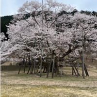 今日いち-2025年4月9日