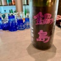 2025.05 風來で九州旅 11日目「富山で打上げ！」