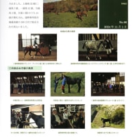 遠野馬通信NO.96