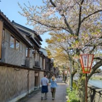 金沢を散歩してきた。