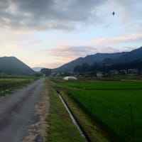草刈り