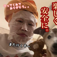 旅犬in波乱の！？長野・岐阜の旅編③