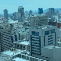 神戸まつりとランチはふわふわ卵のオムライス