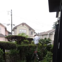 春から夏へ　その２