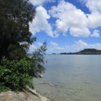 悪夢の治療の可能性