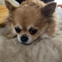 娘の帰還