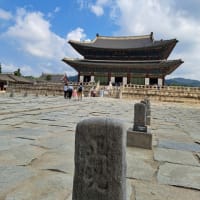 初韓国です