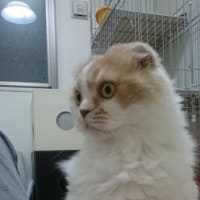 にゅーん