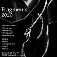 Fragments 2020