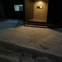 またも雪！