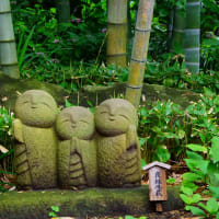希望　あなたへ