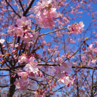 3月ですね。