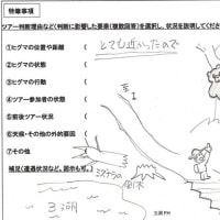 遅ればせながら今季初