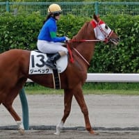 【ジーベック】真狩サマーズテーブルで短期リフレッシュ