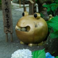 かえる寺・如意輪寺の「風鈴まつり」　～福岡県小郡市～　2025/6/21