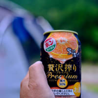 清流沿いのキャンプ場-三重県紀北町：「キャンプ inn 海山」