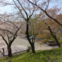 一寸歩きすぎたかな。