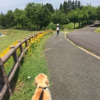貸し切り公園💕