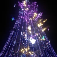 ☆イルミネーション☆