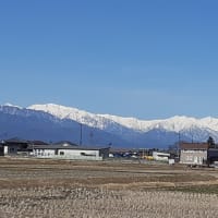 いつかの春の日