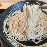 ようこそ、八尾へ