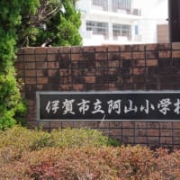 三重県伊賀市、馬場「阿山小学校（河合小学校）のセンダン」（市指定）です！！