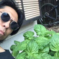 なぜ？今ごろ大人気のgooブログ･･･