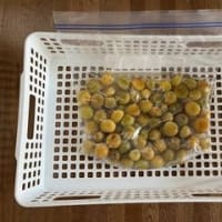 梅干しを作る