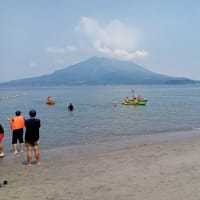 保護者のカメラ　3000mタイム検定　練習の様子