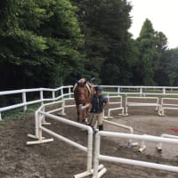 息子の乗馬体験🐴