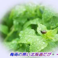  　「梅雨入り」・・・