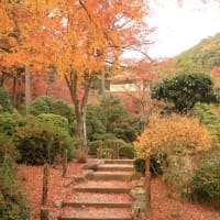 京都-三室戸寺