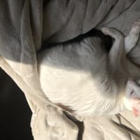 なな、細菌検査の結果が出ました。