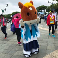 2019函館マラソン　～⑤祝・完走