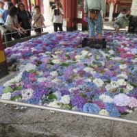 太宰八幡宮の拝殿は改修中