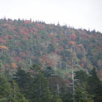 裏磐梯、スカイバレー、浄土平、安達太良山の紅葉(2012年10月14、15日)