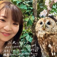 36歳ですってワタシ