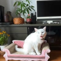 じめじめ暑い！