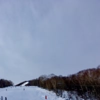 群馬県スキー技術選手権