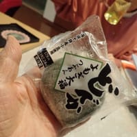 2025年、最初のブラウン釣りと田沼意次。