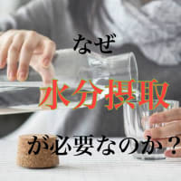 なぜ水分摂取が必要なのか？