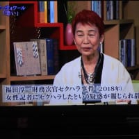 100分de名著　ボーヴォワール「老い」　第1回　老いは不意打ちである