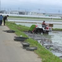田植え終了