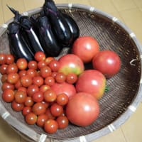 2013.7.26保津