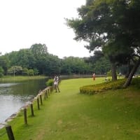 ドールの野外ロケ復活なるか！？